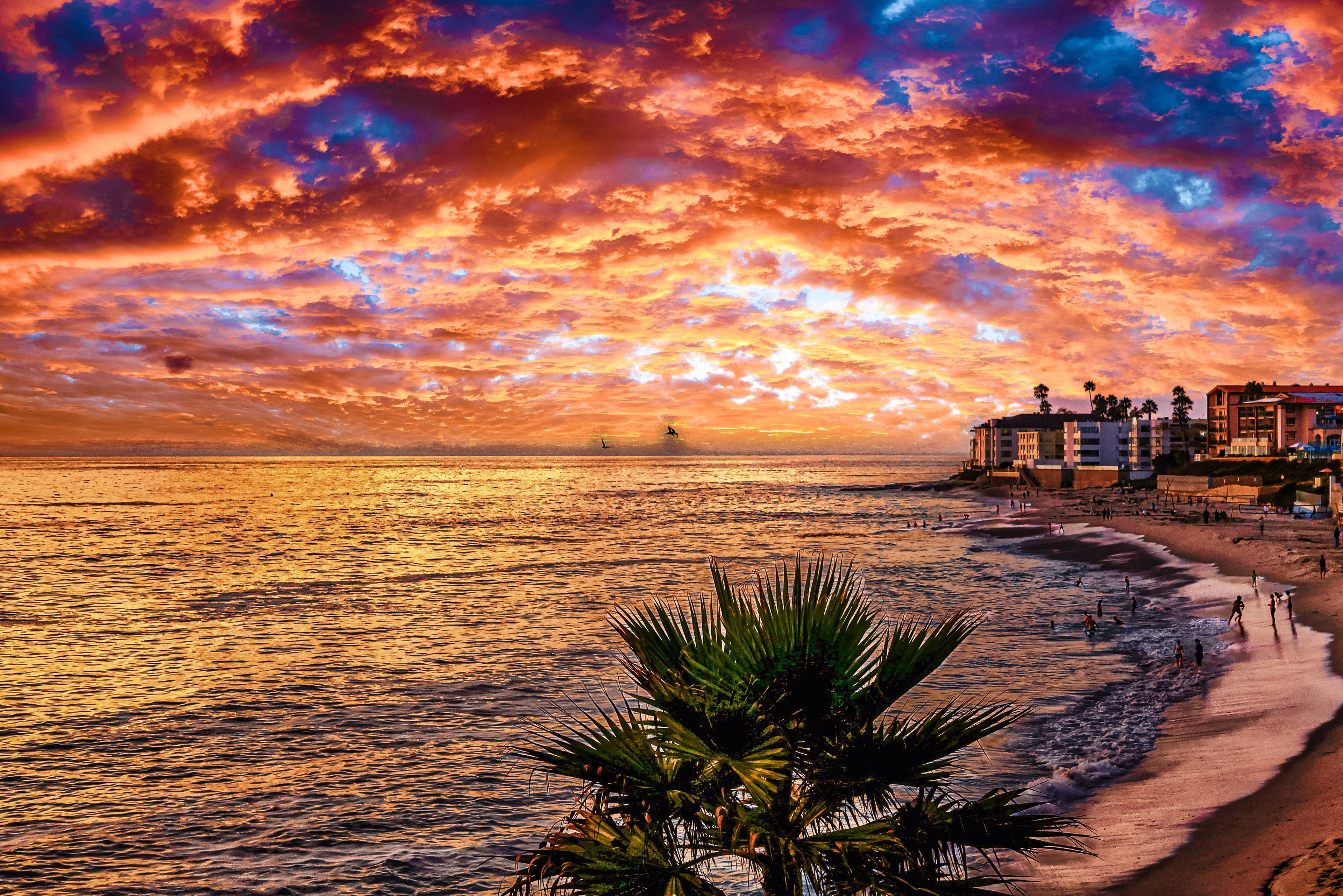 Top San Diego Photography Spots You Need to Visit