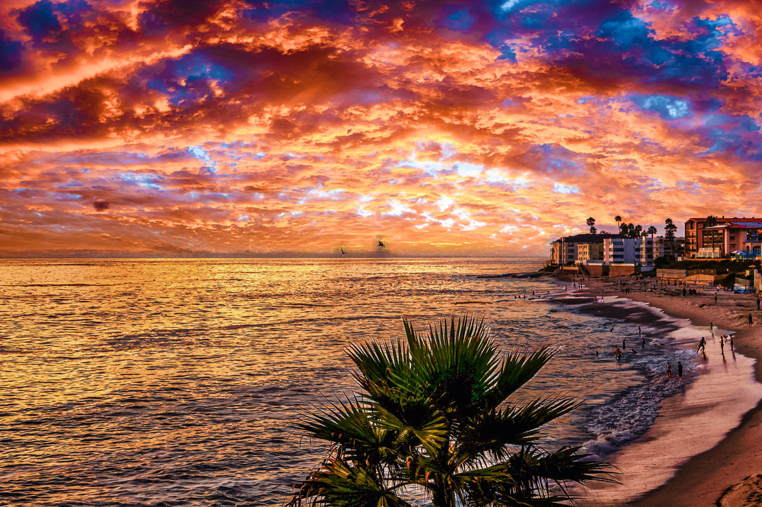 Top San Diego Photography Spots You Need to Visit