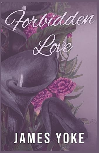 The Forbidden Love- A Romance Novel