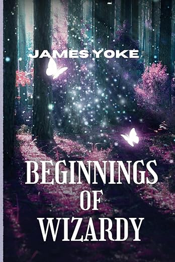 Beginnings of Wizardry- Fantasy Novel